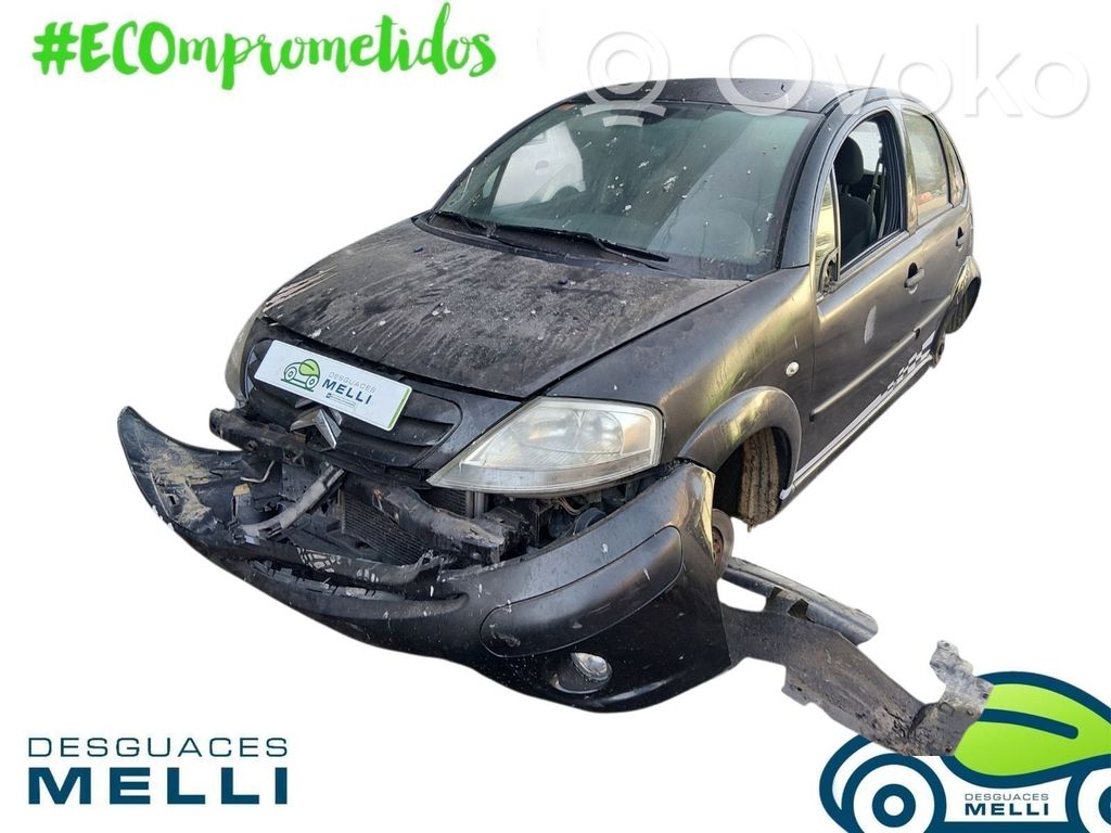C3 C3, Pluriel, Picasso  9663483180