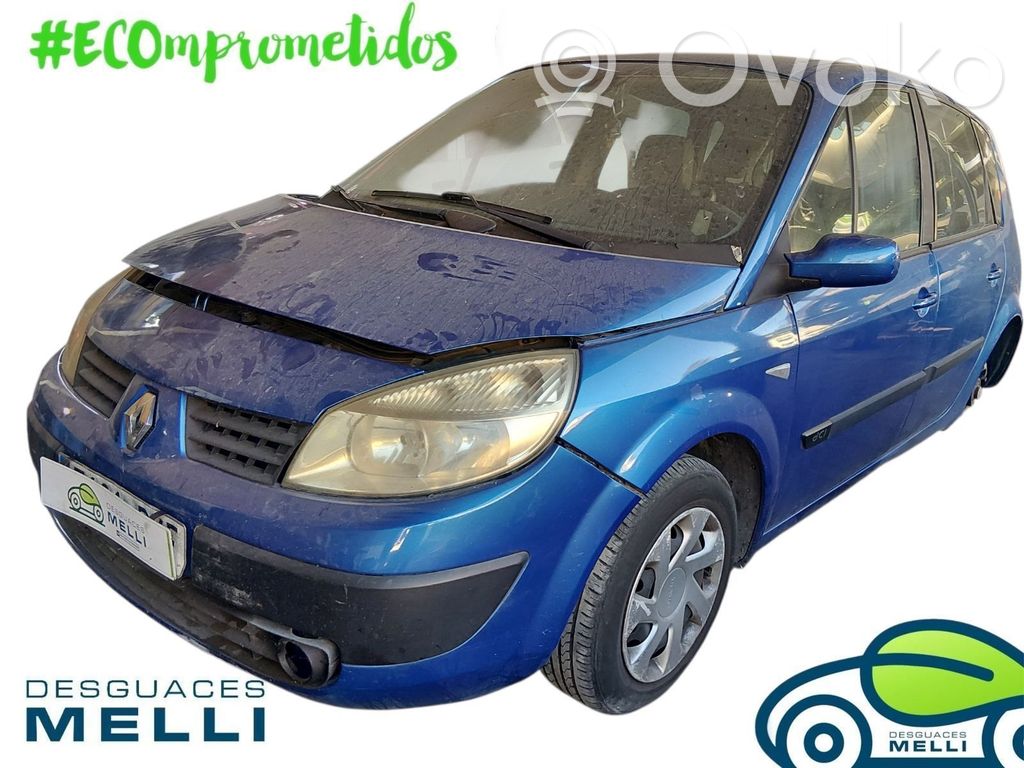 Scenic II -  Grand scenic II Scenic  315050B