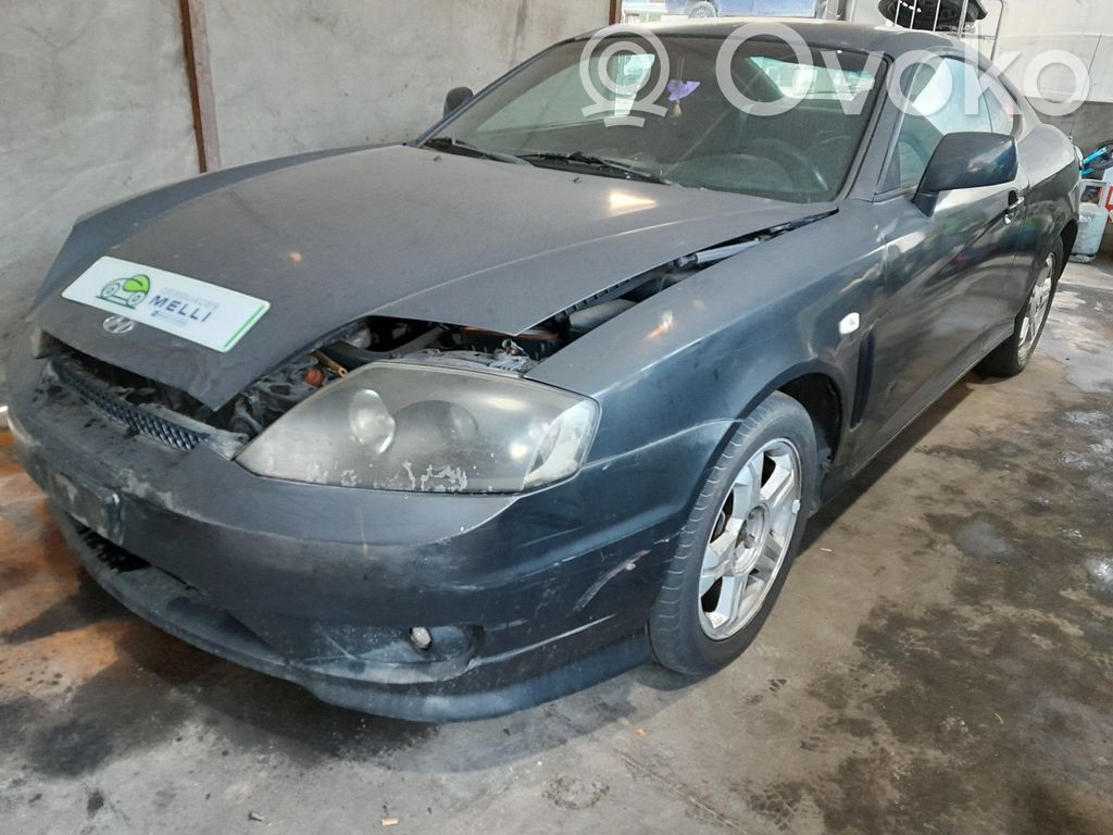 Coupe Coupe  585102C000