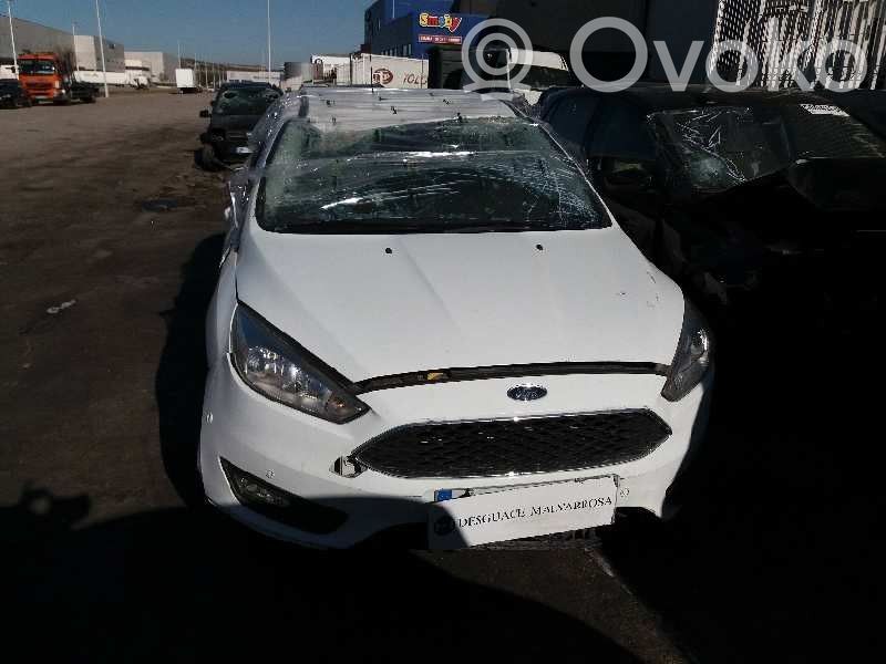 Focus Focus  1808504