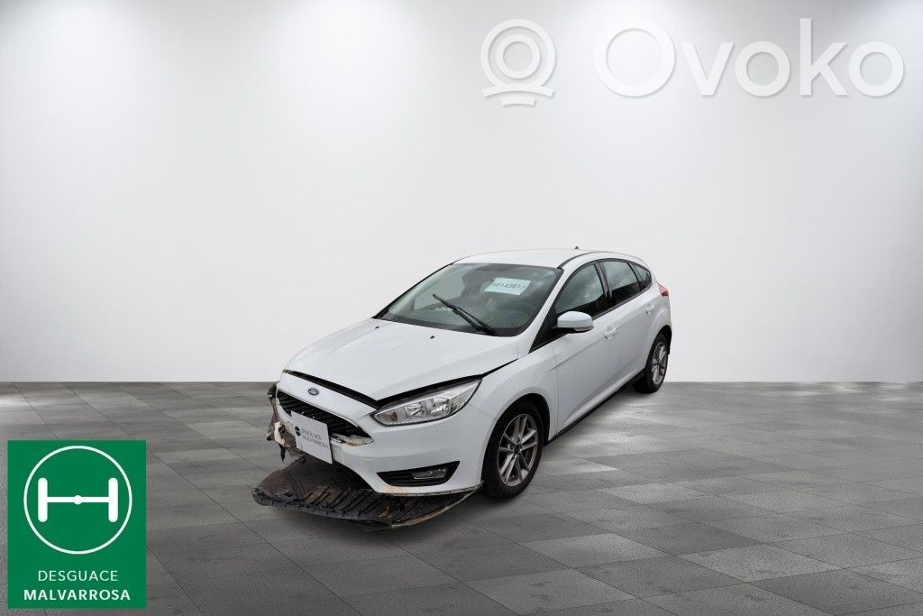 Focus Focus  1681167