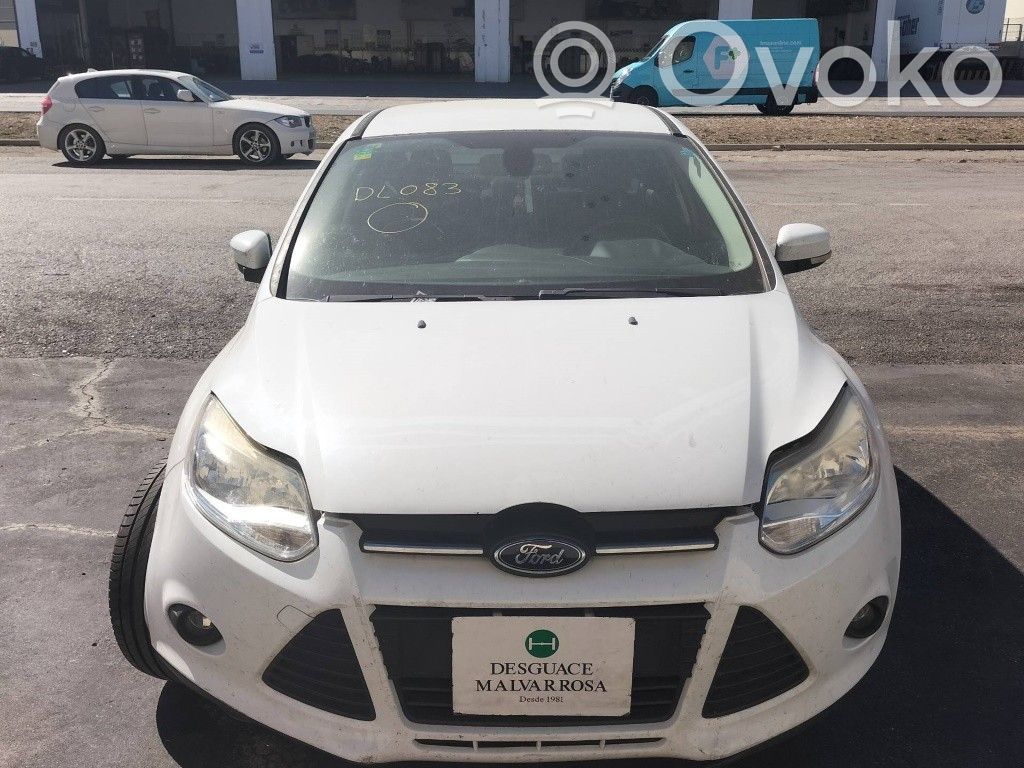Focus Focus  1847182