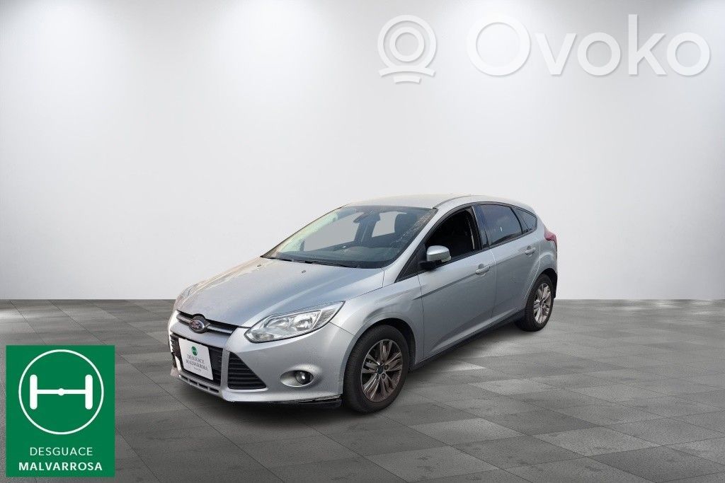 Focus Focus  1681167