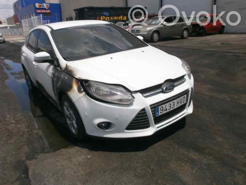 Focus Focus  2205506