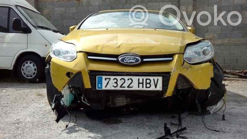 Focus Focus  1894049