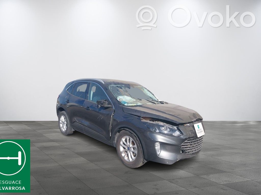 Kuga III Kuga  2544359
