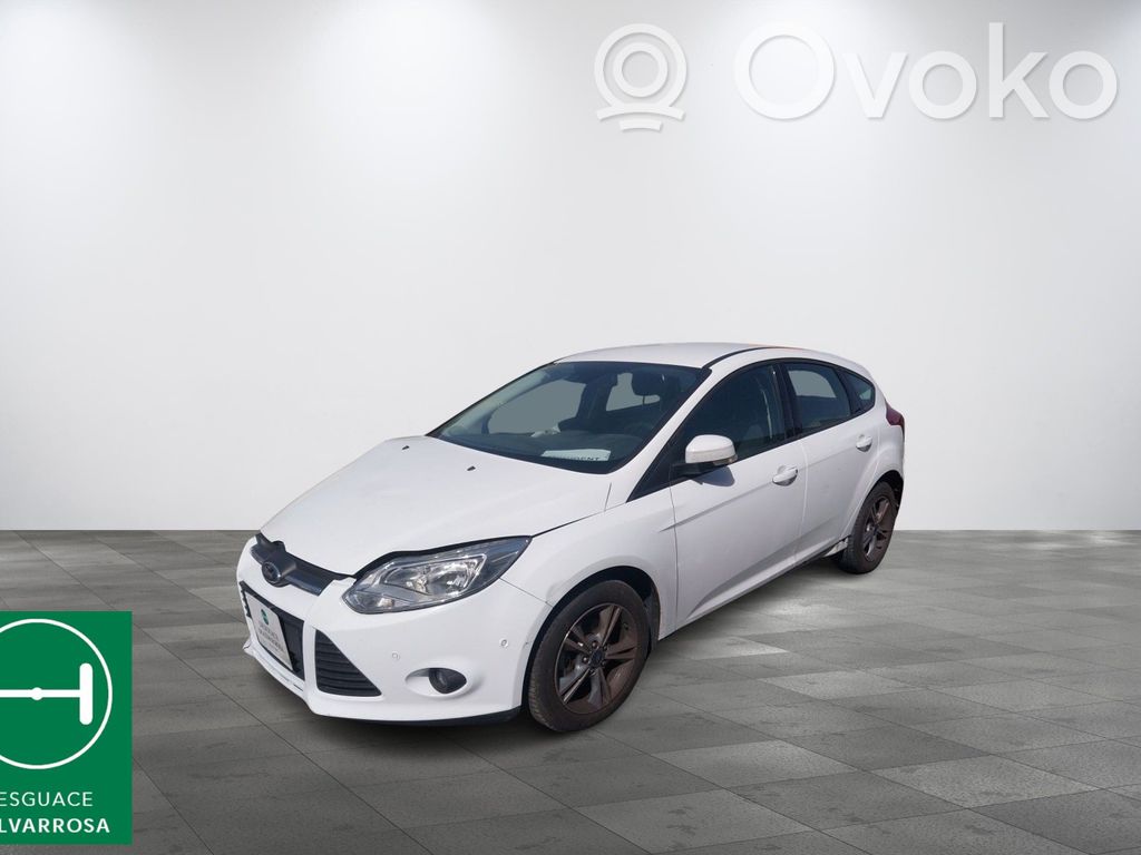 Focus Focus  2168321