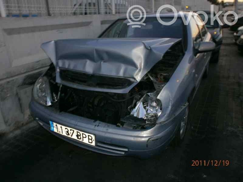 Xsara Xsara, Xsara Picasso