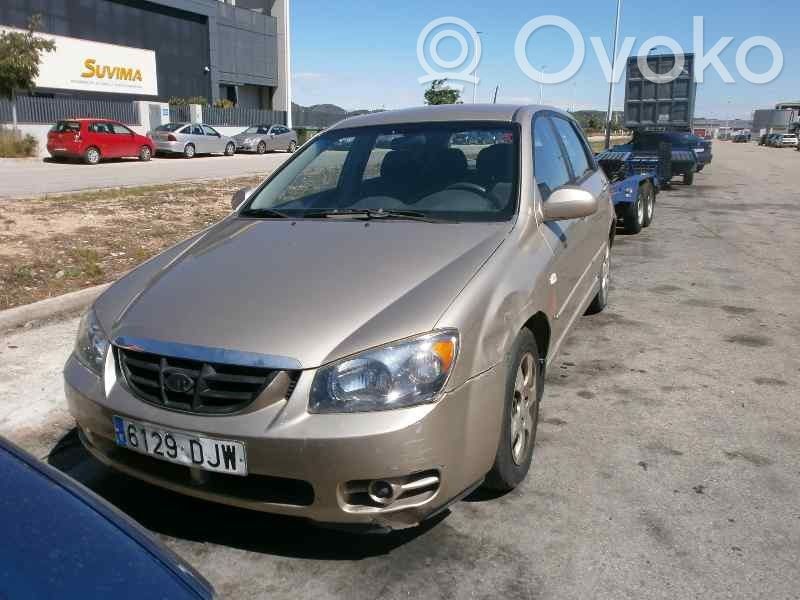 Cerato Cerato  845102F010IM