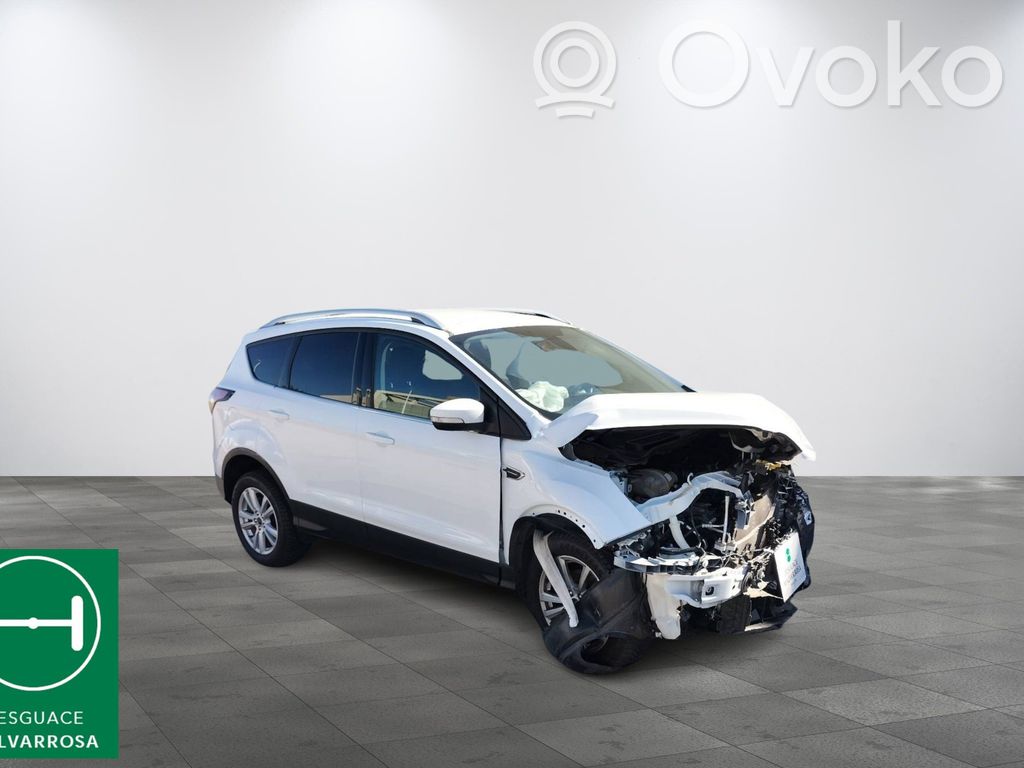 Kuga II Kuga  1686782