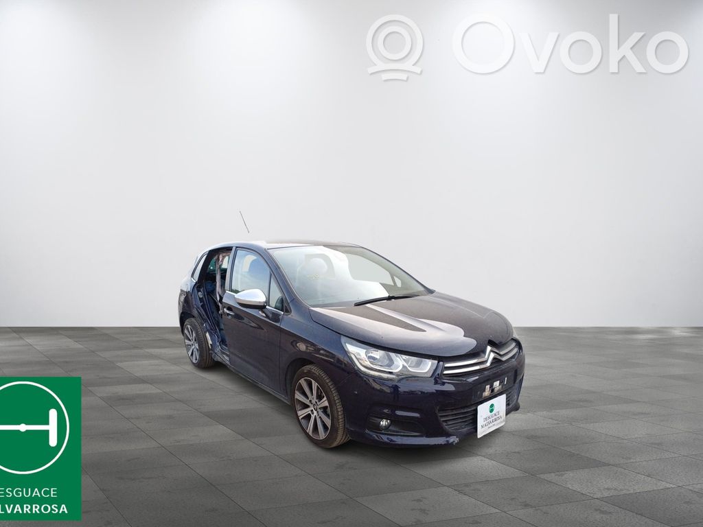 C4 Grand Picasso C4 Picasso, Grand Picasso, Aircross, Cactus  1614395380