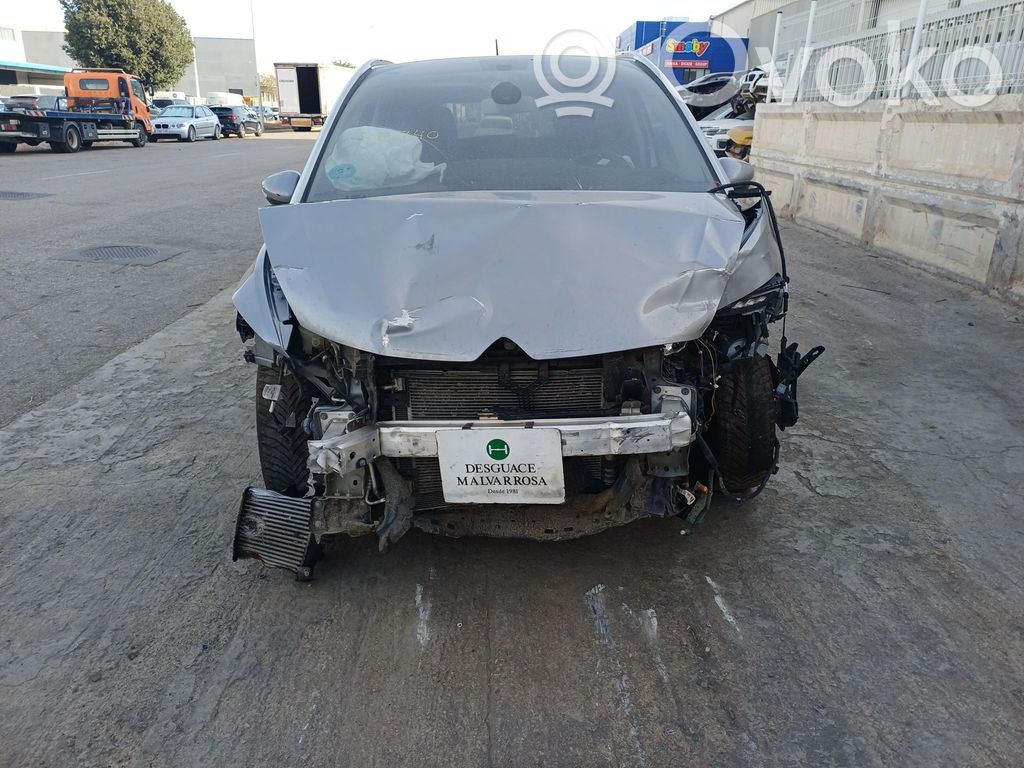 C4 Cactus C4 Picasso, Grand Picasso, Aircross, Cactus  1613708580
