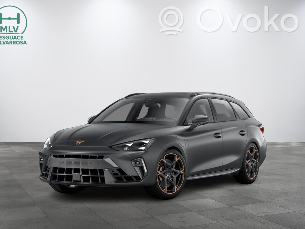 Leon Leon  5QS907530B