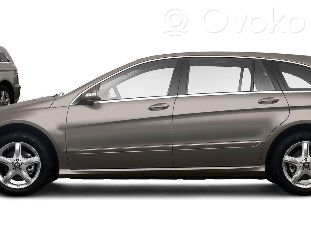 R W251 R-class, AMG (W251)  A6420710587