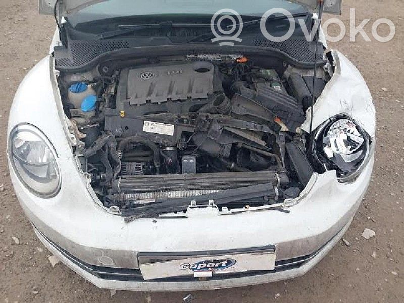 Beetle A5 Beetle