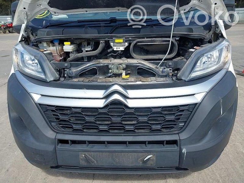 Jumper Jumper  EA656002