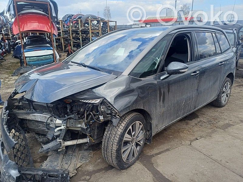 C4 Grand Picasso C4 Picasso, Grand Picasso, Aircross, Cactus  9804849480