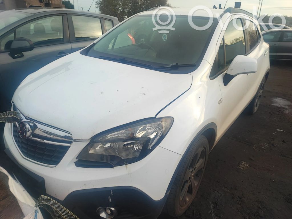 Mokka Mokka  2619573A
