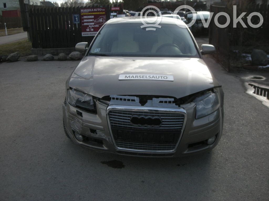 A3 S3 A3 Sportback 8P A3, S3  0258006986