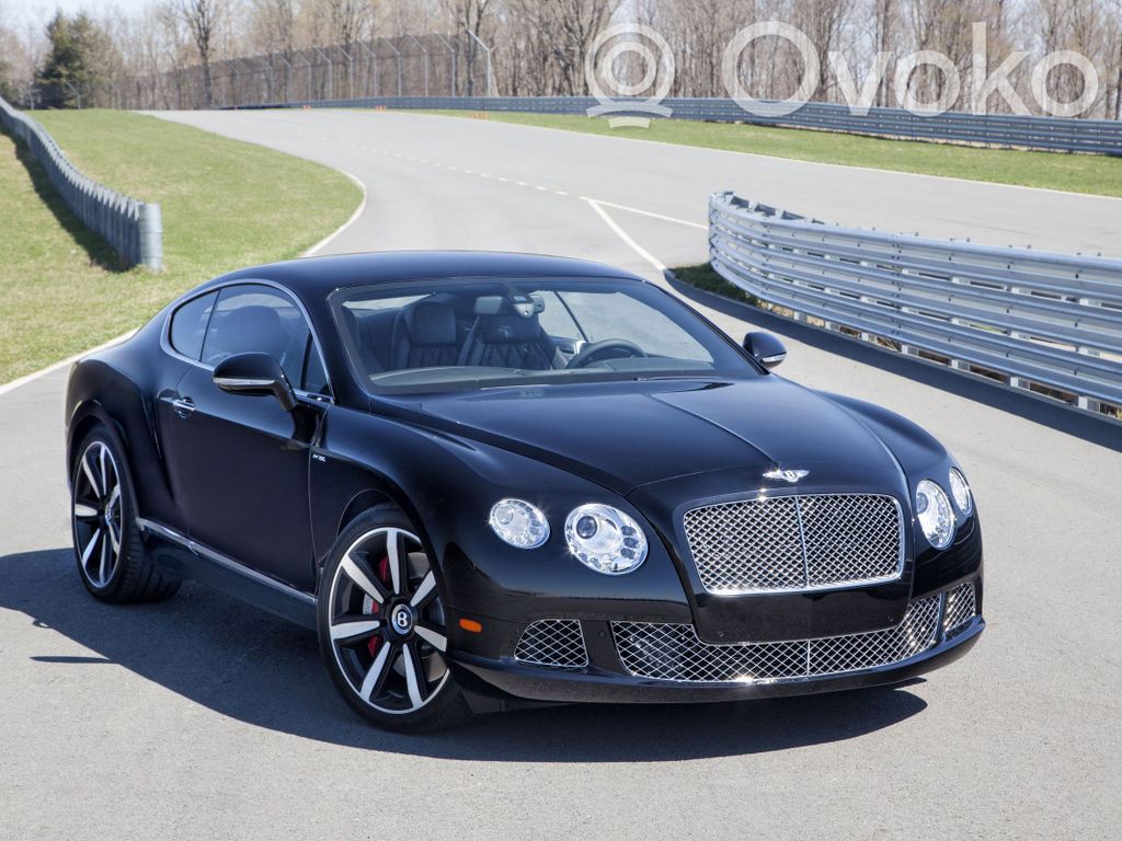 Continental Continental  3W0955463