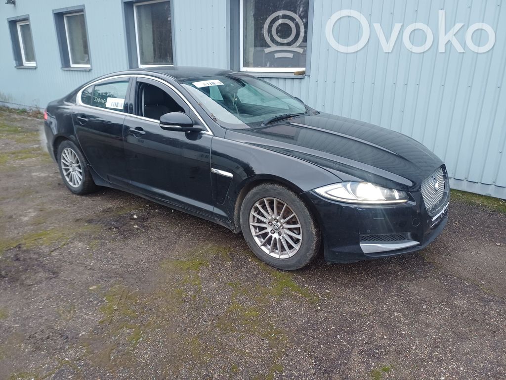 XF X250 XF  CX239D375BA