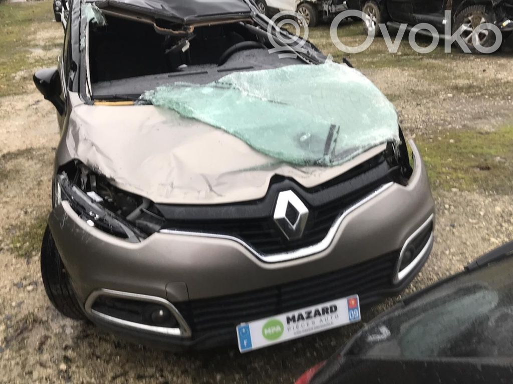 Captur Captur  231008918R