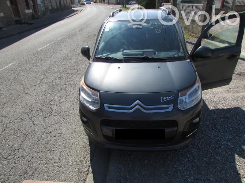 C3 Picasso C3, Pluriel, Picasso  8975ES