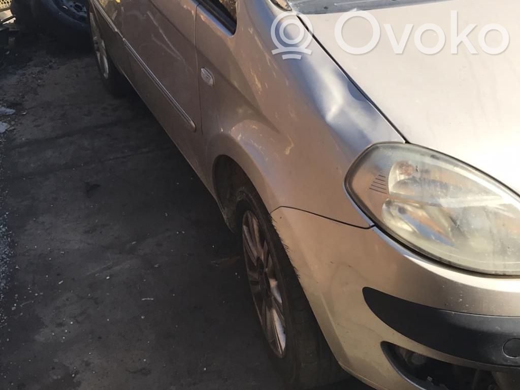 Musa Musa  735367302