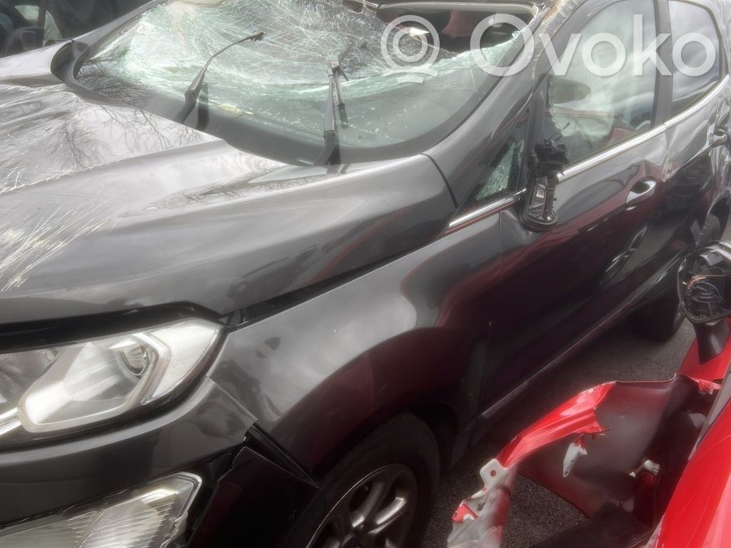 Ecosport Ecosport  2139285