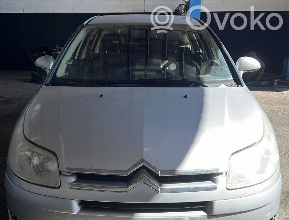 C4 I C4 Picasso, Grand Picasso, Aircross, Cactus  5802FG