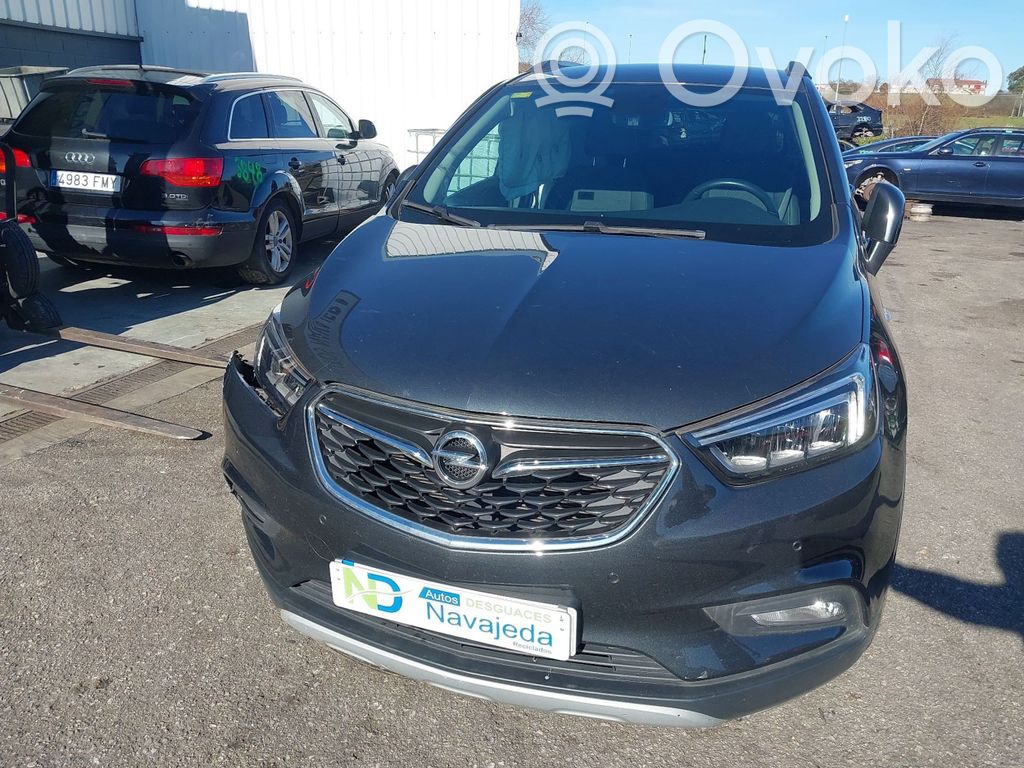 Mokka X Mokka  BBY96362