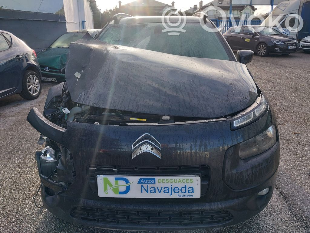 C4 Cactus C4 Picasso, Grand Picasso, Aircross, Cactus  190384