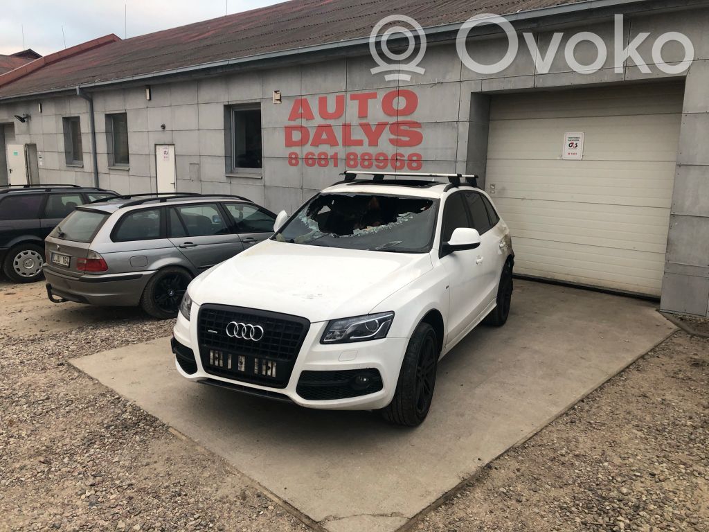 Q5 SQ5 8R Q5, SQ5  8K0199307BP