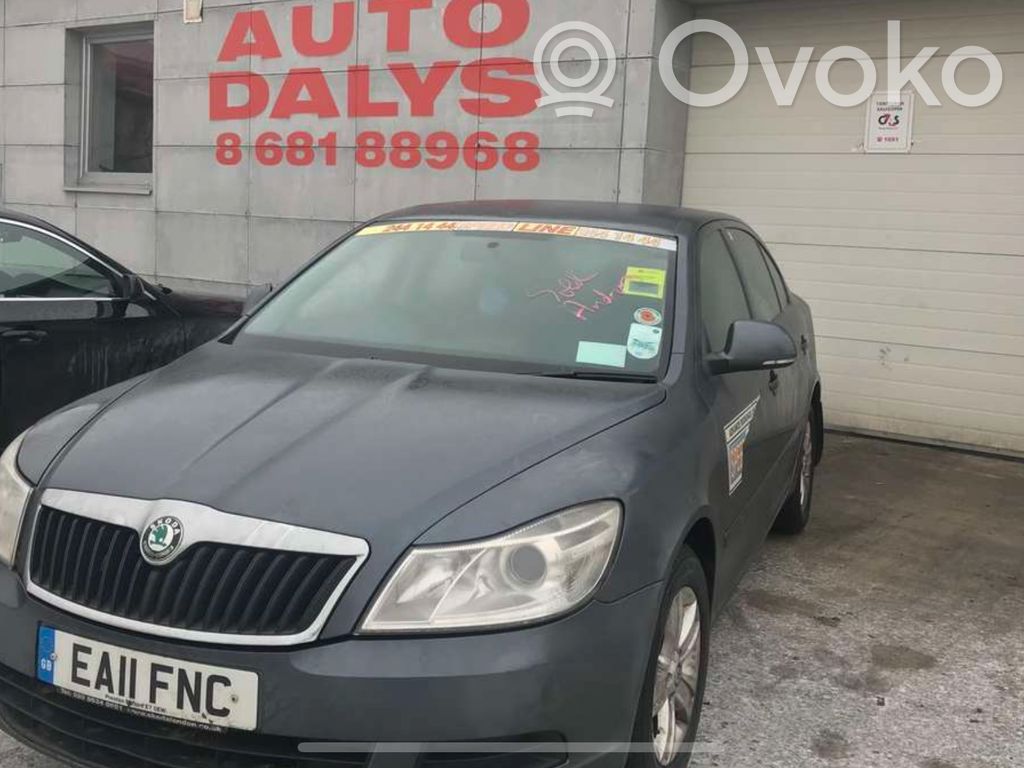 Octavia Mk2 (1Z) Octavia  03G103925BK
