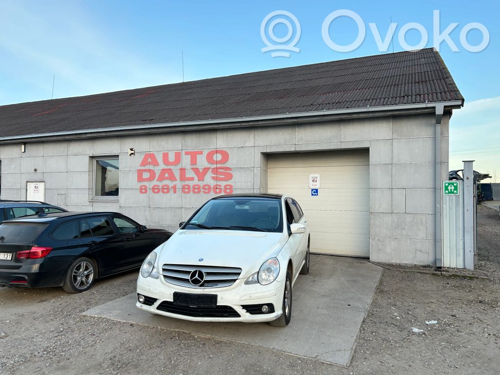 R W251 R-class, AMG (W251)  A2518703310