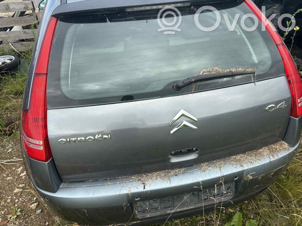 C4 I C4 Picasso, Grand Picasso, Aircross, Cactus  9646694680