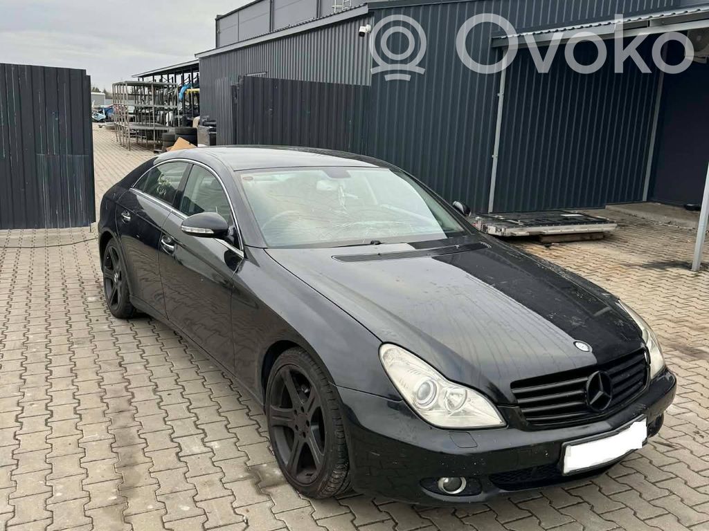 CLS C219 CLS-class, AMG (W219,C218/X218)  A2194920080