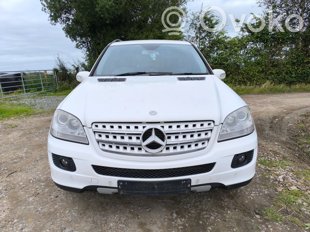 ML W164 ML-class, AMG (W163, W164, W166)  E1010696