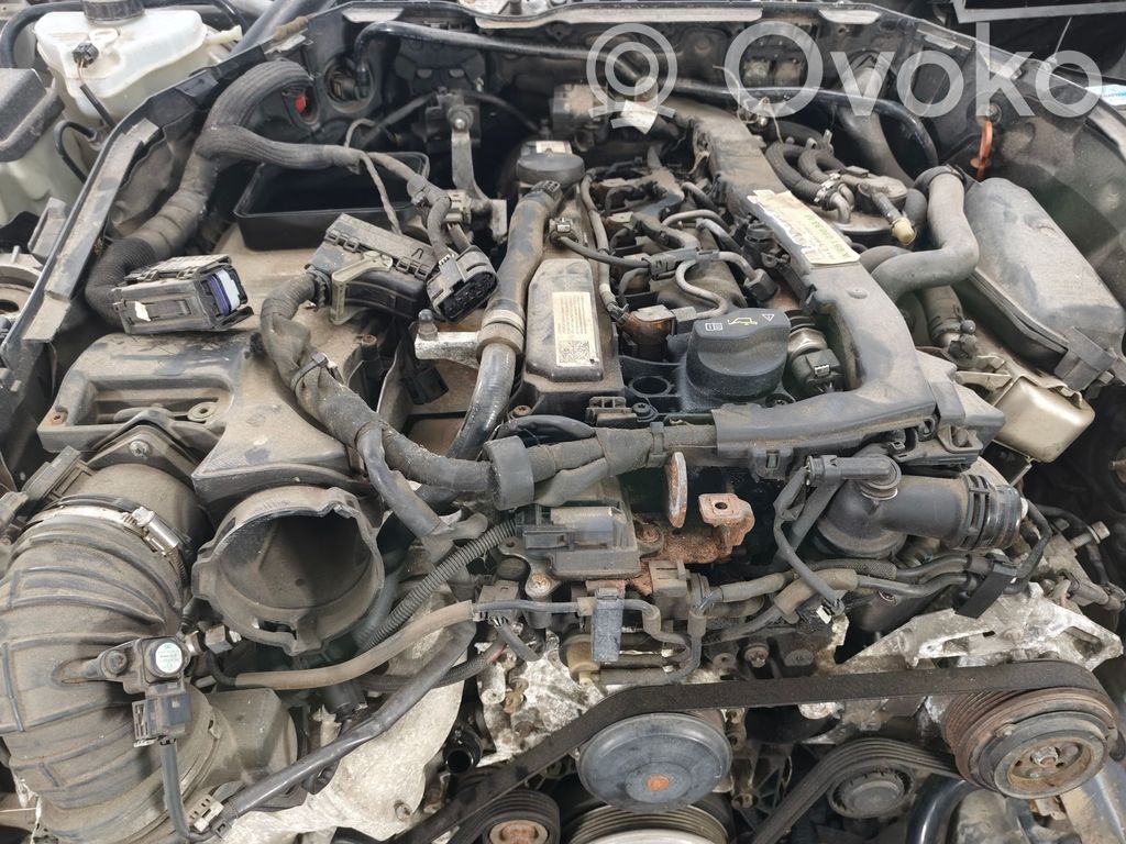 C W205 C-class, AMG (W202, W203, W204, W205, W206)  0075421618