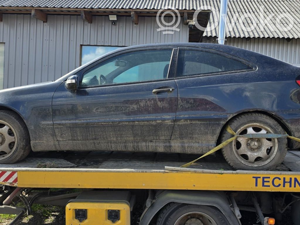 C W203 C-class, AMG (W202, W203, W204, W205, W206)
