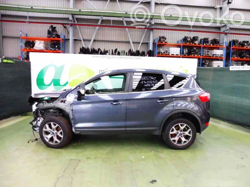 Kuga I Kuga  2512875