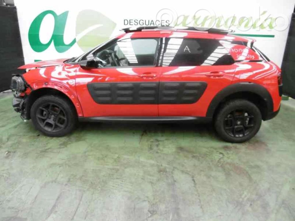 C4 Cactus C4 Picasso, Grand Picasso, Aircross, Cactus  9807369980