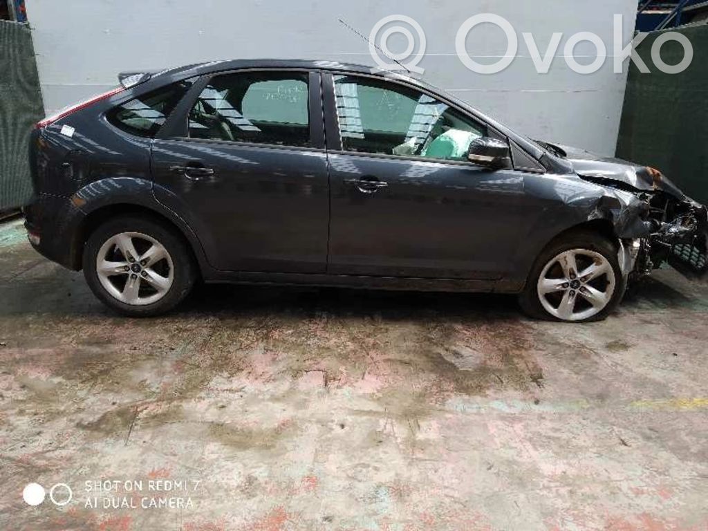 Focus Focus  984562202