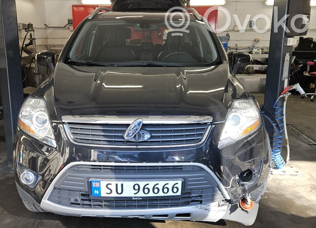 Kuga I Kuga  1707331