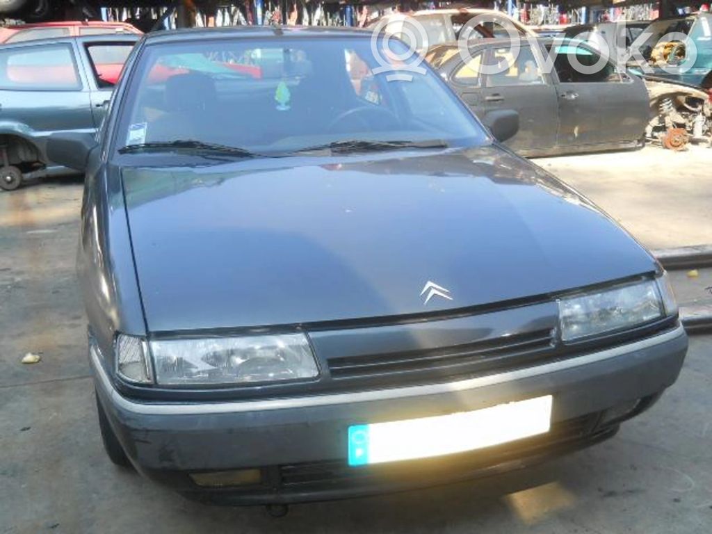 Xantia Xantia  258003239