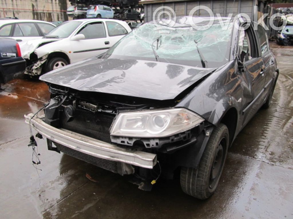 Megane II Megane  265800519