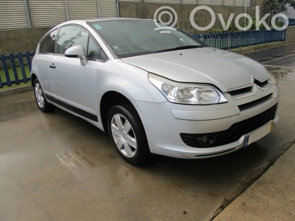 C4 I C4 Picasso, Grand Picasso, Aircross, Cactus  0384G4