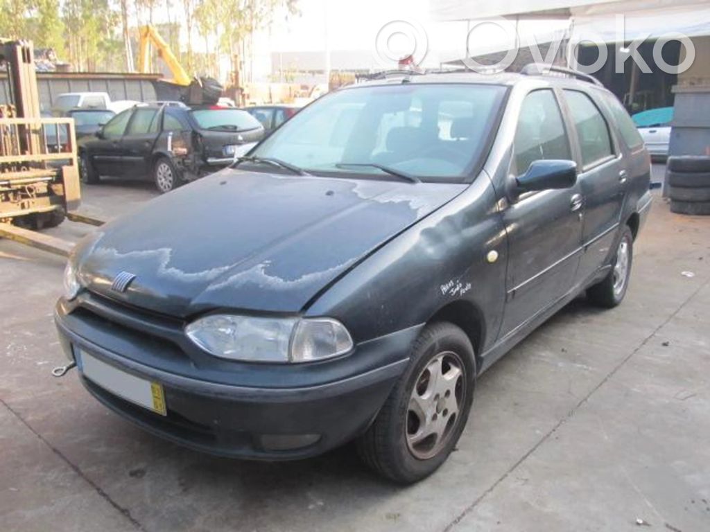 Palio Palio  258006206