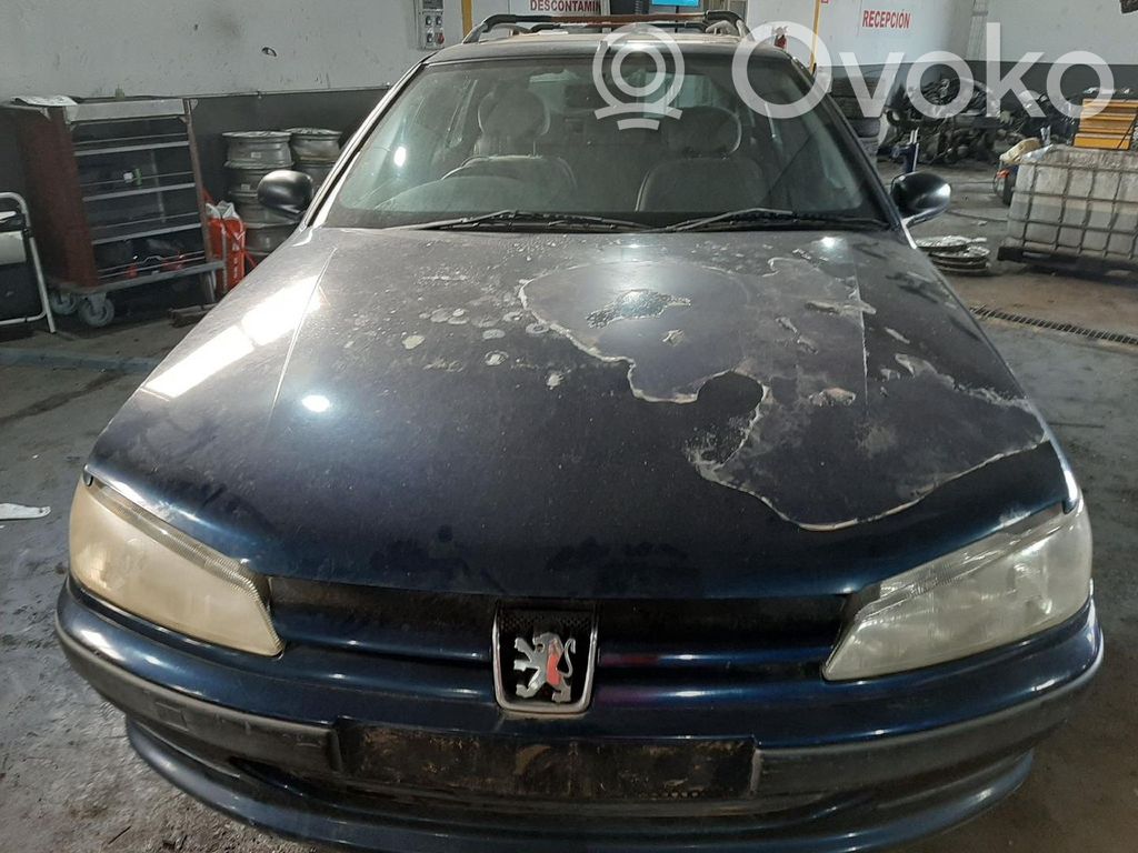 Xsara Xsara, Xsara Picasso