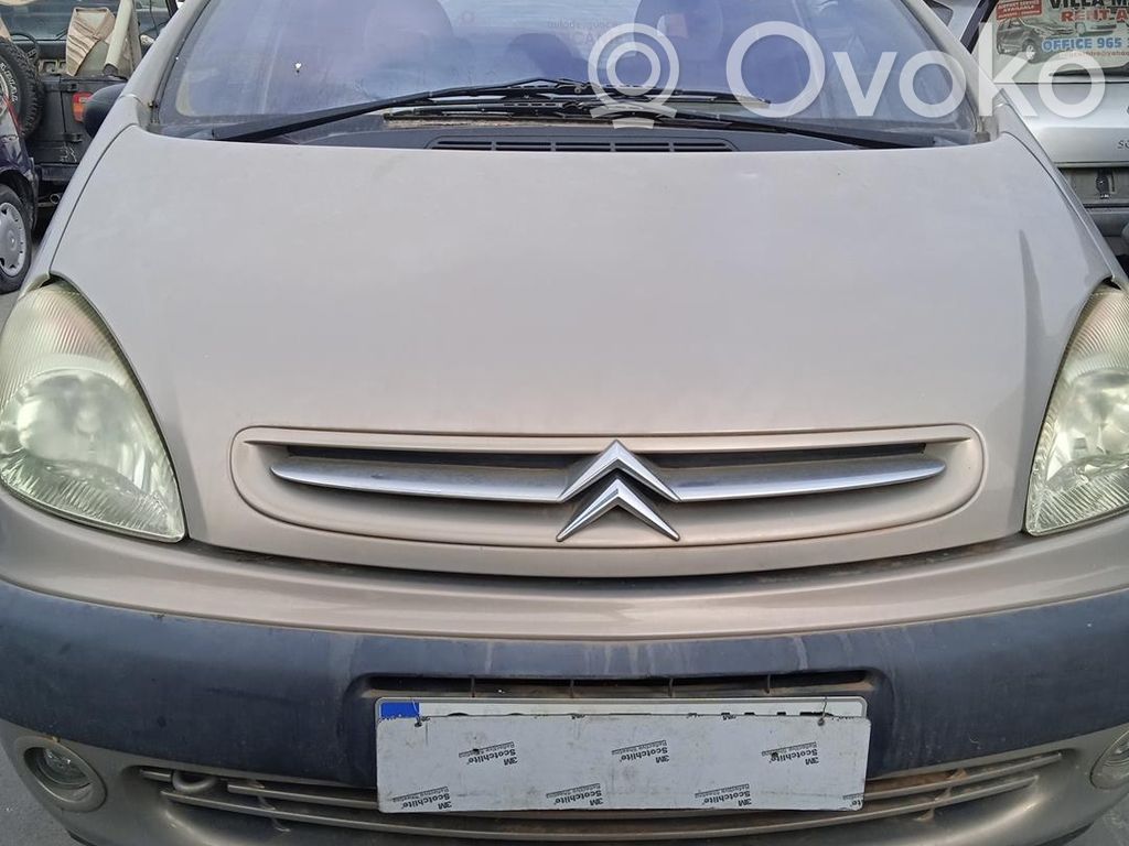 Xsara Xsara, Xsara Picasso